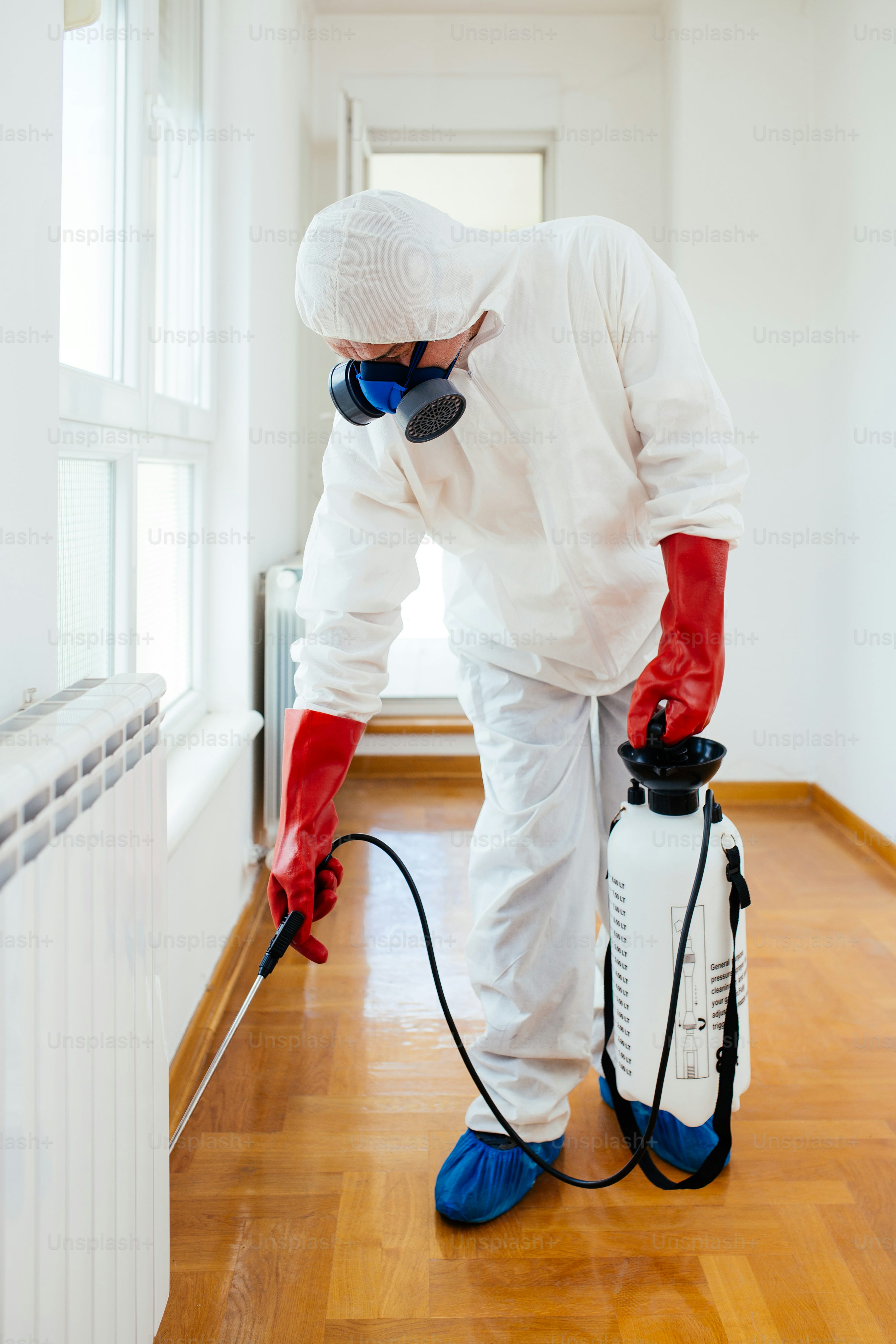 Pest Control Process